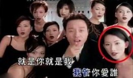 娱乐圈为什么会爆料呢,娱乐圈爆料背后的真相与动机